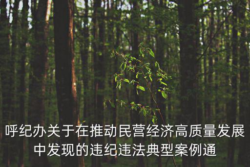 呼紀辦關于在推動民營經(jīng)濟高質(zhì)量發(fā)展中發(fā)現(xiàn)的違紀違法典型案例通