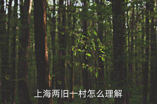 上海兩舊一村怎么理解