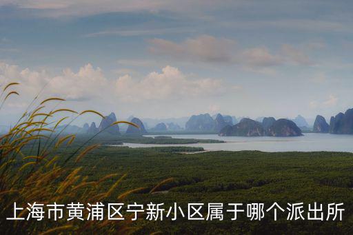 上海市黃浦區(qū)寧新小區(qū)屬于哪個派出所