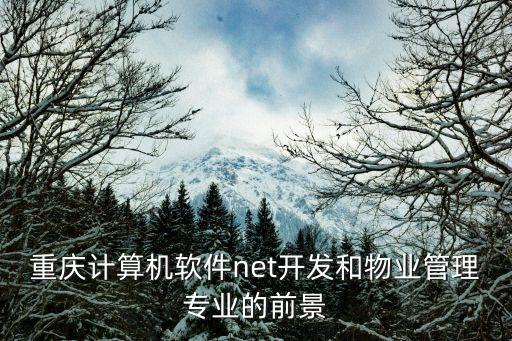 重慶計算機軟件net開發和物業管理專業的前景