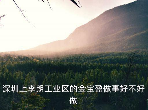 深圳上李朗工業區的金寶盈做事好不好做