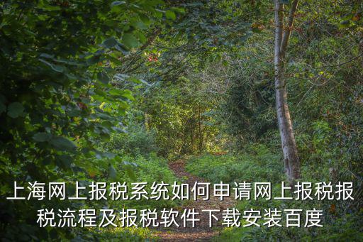 上海網上報稅系統如何申請網上報稅報稅流程及報稅軟件下載安裝百度