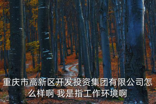 重慶市高新區開發投資集團有限公司怎么樣啊 我是指工作環境啊