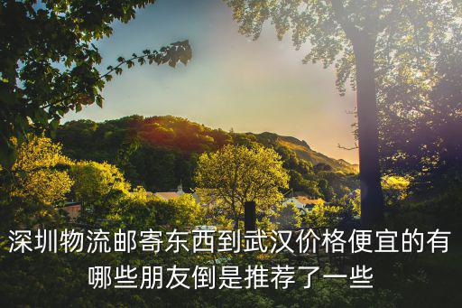 深圳物流郵寄東西到武漢價格便宜的有哪些朋友倒是推薦了一些