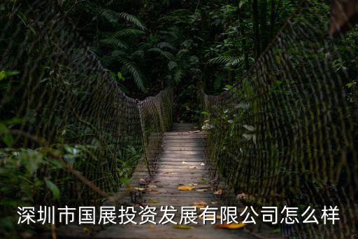深圳市國展科技開發有限公司，深圳比較有規模的國際展覽公司有哪些