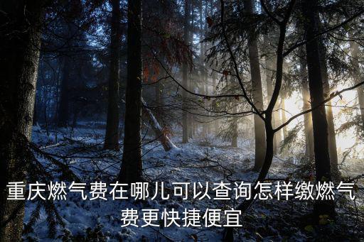 重慶燃氣費在哪兒可以查詢怎樣繳燃氣費更快捷便宜