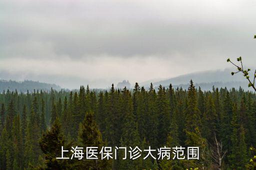 上海醫保門診大病范圍