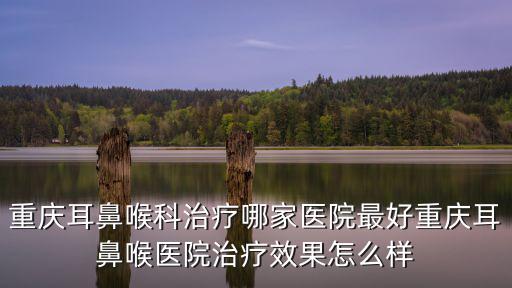 重慶耳鼻喉科治療哪家醫(yī)院最好重慶耳鼻喉醫(yī)院治療效果怎么樣
