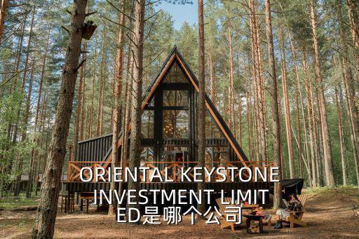 彪域科技深圳有限公司，ORIENTAL KEYSTONE INVESTMENT LIMITED是哪個(gè)公司