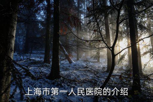 上海市第1人民醫(yī)院集團(tuán)醫(yī)院，上海弟一人民醫(yī)院在什么地方