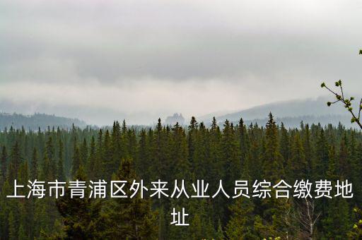 上海市青浦區外來從業人員綜合繳費地址