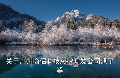 廣州大西洲科技，廣州網智科技怎么樣
