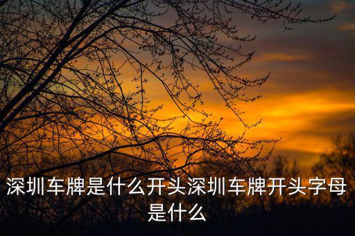 深圳車牌是什么開頭深圳車牌開頭字母是什么