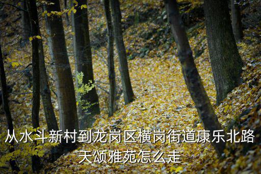 從水斗新村到龍崗區橫崗街道康樂北路天頌雅苑怎么走