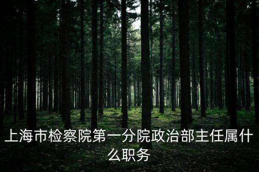 上海市第一分檢，上海市檢察院第一分院政治部主任屬什么職務