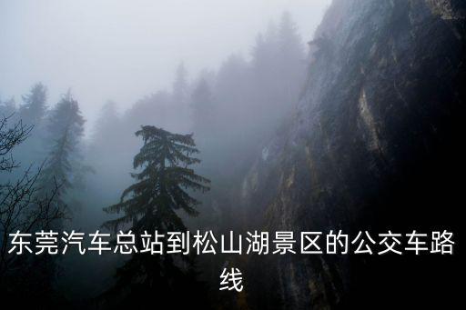 東莞汽車總站到松山湖景區的公交車路線