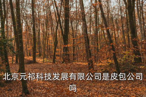 北京元祁科技發(fā)展有限公司是皮包公司嗎