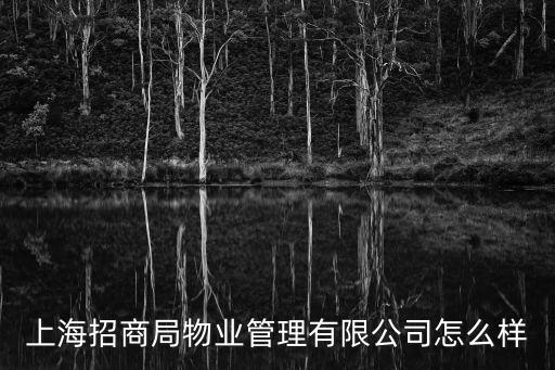 上海招商局物業管理有限公司怎么樣