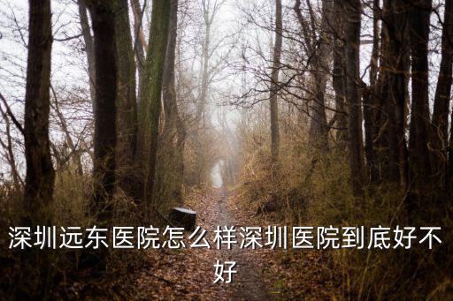 深圳遠(yuǎn)東醫(yī)院怎么樣深圳醫(yī)院到底好不好