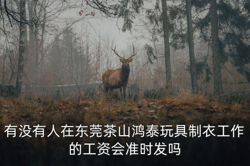 有沒有人在東莞茶山鴻泰玩具制衣工作的工資會準時發嗎