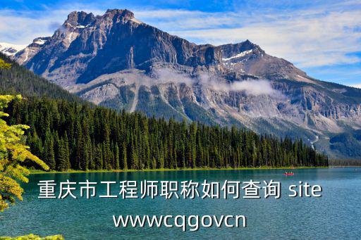 重慶市工程師職稱如何查詢 sitewwwcqgovcn