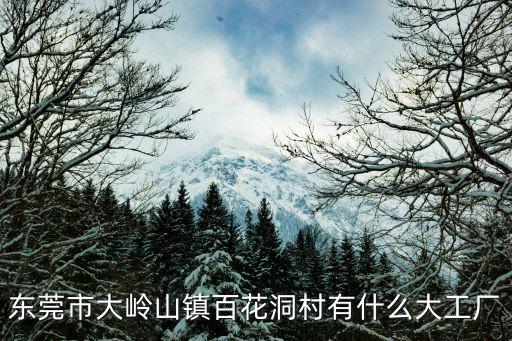 東莞市大嶺山鎮(zhèn)百花洞村有什么大工廠