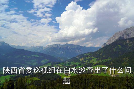 陜西省委巡視組在白水巡查出了什么問題