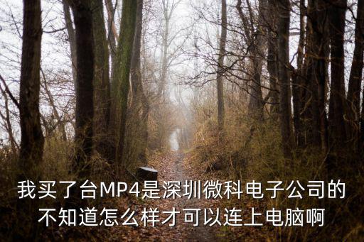 我買了臺MP4是深圳微科電子公司的不知道怎么樣才可以連上電腦啊