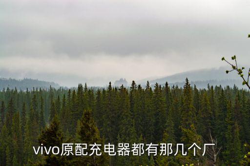 vivo原配充電器都有那幾個廠