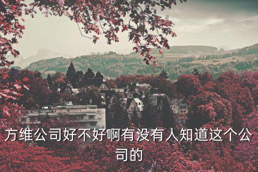 方維公司好不好啊有沒有人知道這個(gè)公司的