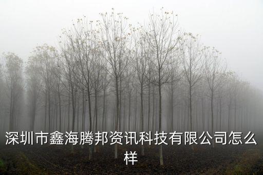 深圳市鑫海騰邦資訊科技有限公司怎么樣