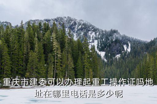 重慶市各個區縣建委電話號碼，重慶市建委可以辦理起重工操作證嗎地址在哪里電話是多少呢