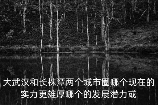 大武漢和長株潭兩個城市圈哪個現在的實力更雄厚哪個的發展潛力或