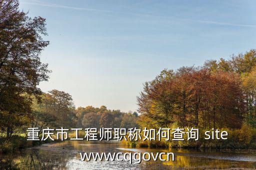 重慶市工程師職稱如何查詢 sitewwwcqgovcn
