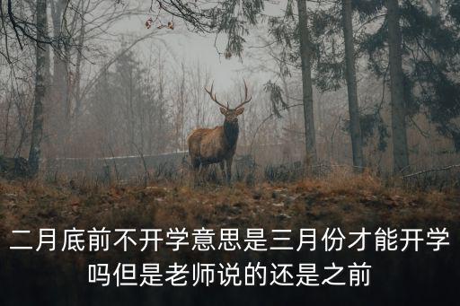 二月底前不開學意思是三月份才能開學嗎但是老師說的還是之前