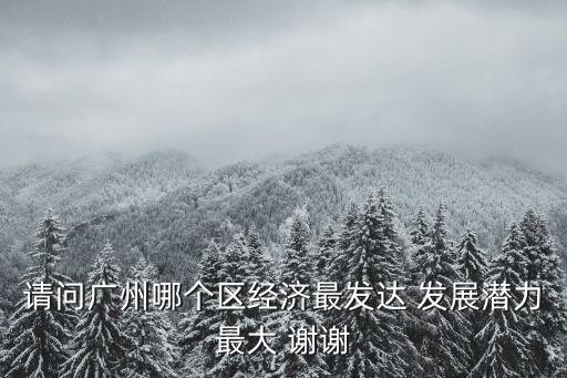 請問廣州哪個區(qū)經(jīng)濟(jì)最發(fā)達(dá) 發(fā)展?jié)摿ψ畲?謝謝