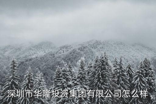 深圳市華隆投資集團有限公司怎么樣