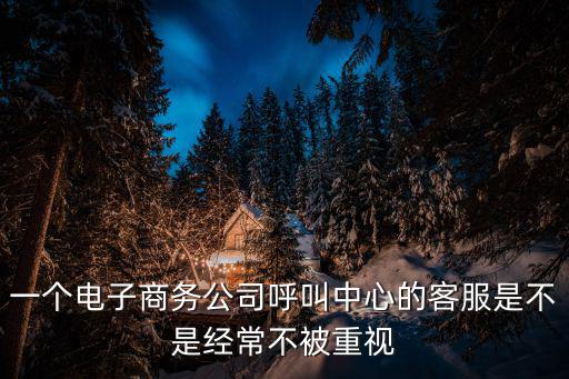 一個電子商務公司呼叫中心的客服是不是經常不被重視