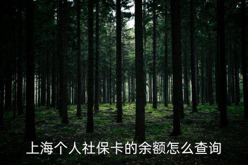 上海市社保余額怎么查詢余額，上海社會保障卡查詢余額