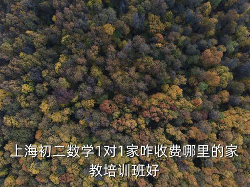 上海初二數學1對1家咋收費哪里的家教培訓班好