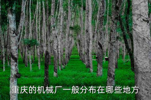 重慶市明陽機械設備，機械剪板機配件大齒輪重慶那里有的賣