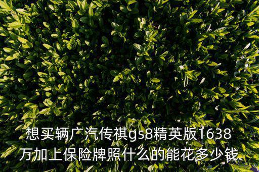 廣州傳祺汽車gs8車價，想買輛廣汽傳祺gs8精英版1638萬加上保險牌照什么的能花多少錢