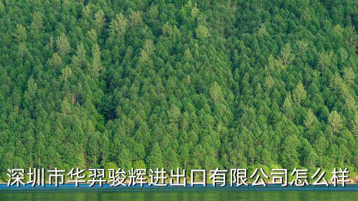 深圳市華羿駿輝進出口有限公司怎么樣