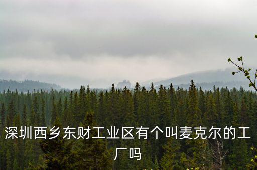深圳西鄉東財工業區有個叫麥克爾的工廠嗎