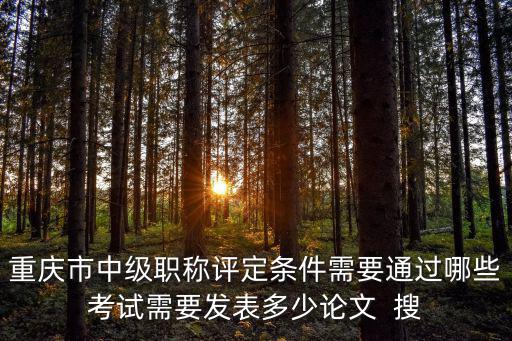 重慶市中級職稱評定條件需要通過哪些考試需要發表多少論文  搜