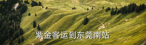 紫金客運到東莞南站