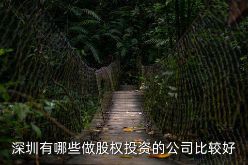 深圳有哪些做股權投資的公司比較好
