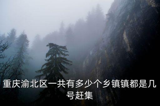 重慶市渝北區(qū)育人中學(xué)評(píng)分，上海市育人中學(xué)分班考是按什么成績(jī)分的