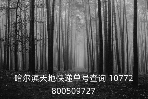 哈爾濱天地快遞單號查詢 10772800509727