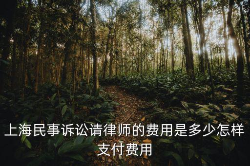 上海民事訴訟請(qǐng)律師的費(fèi)用是多少怎樣支付費(fèi)用